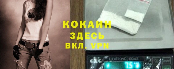 таблы Богородицк
