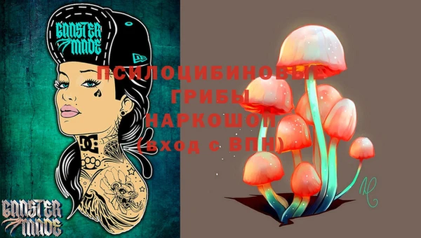 a pvp Богданович