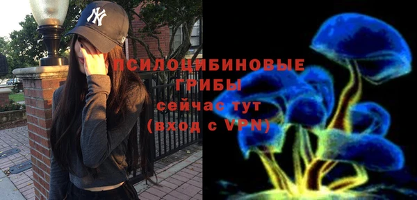 таблы Богородицк