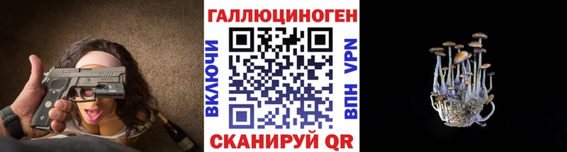 Псилоцибиновые грибы Cubensis  ссылка на мегу ссылки  Кологрив  это Telegram  продажа наркотиков 